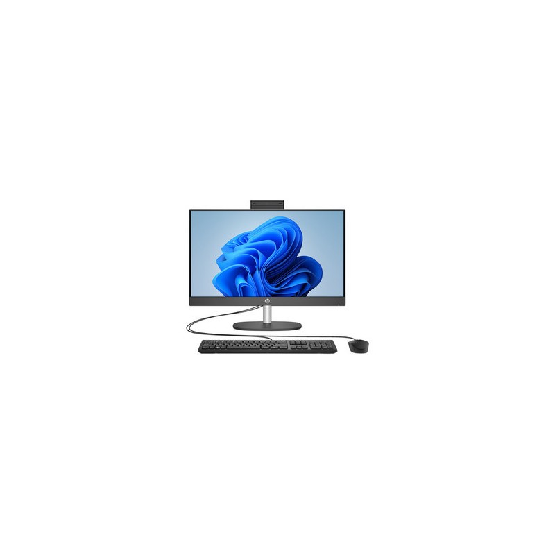 PC All in One HP ProOne 245 G10: